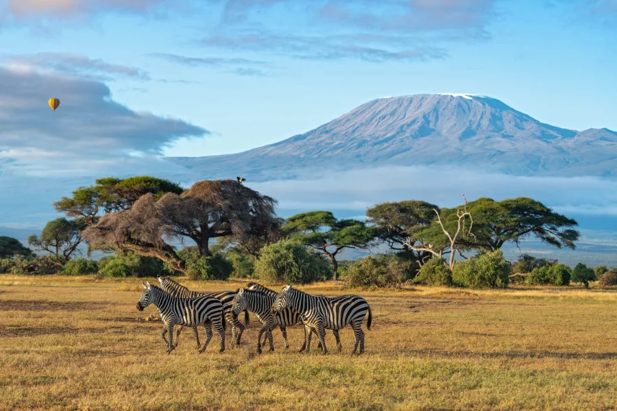 3 Days Maasai Mara Safari